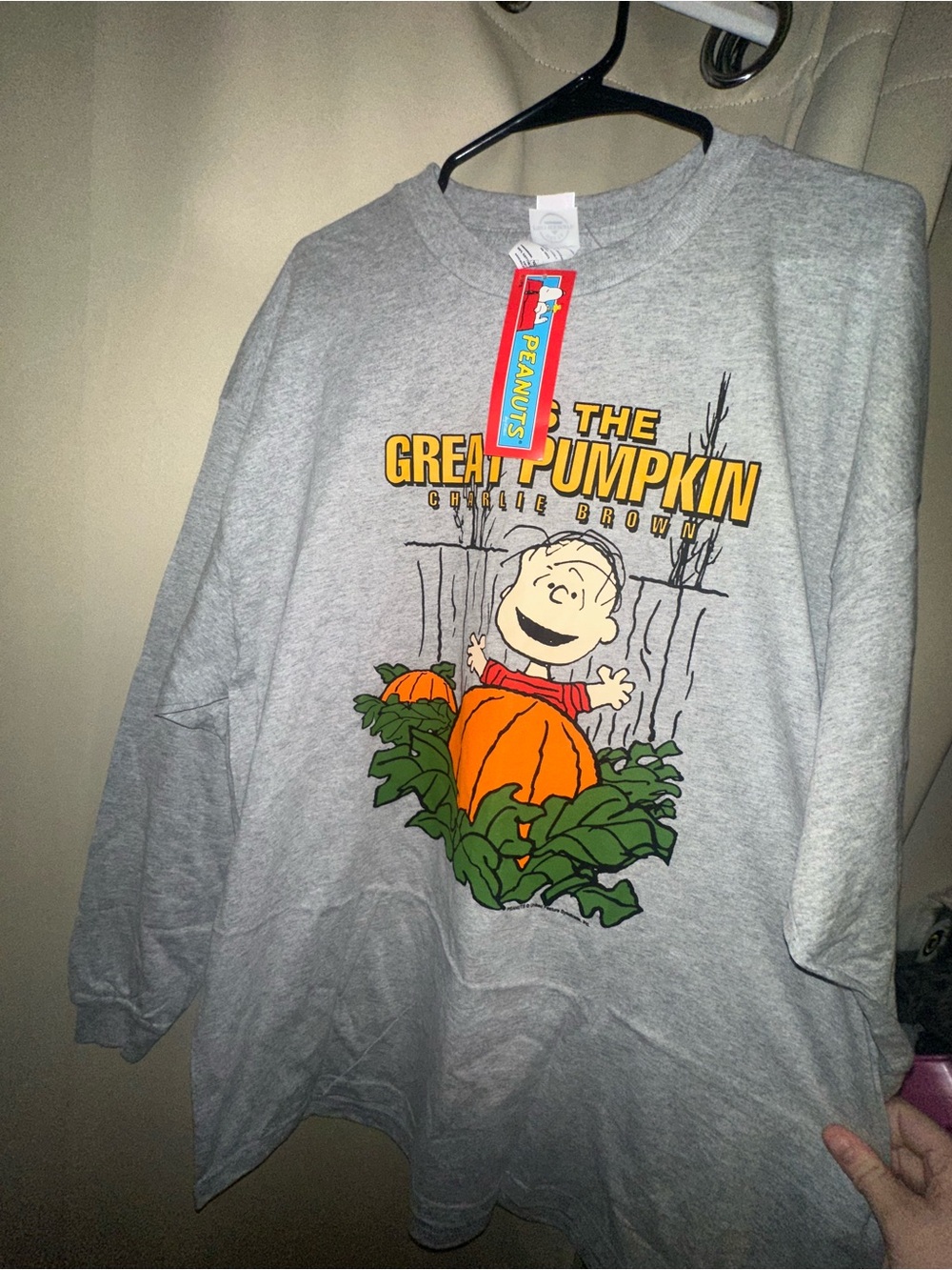 Vintage long sleeve Charlie Brown great pumpkin Halloween peanuts 2XL NEW NWT